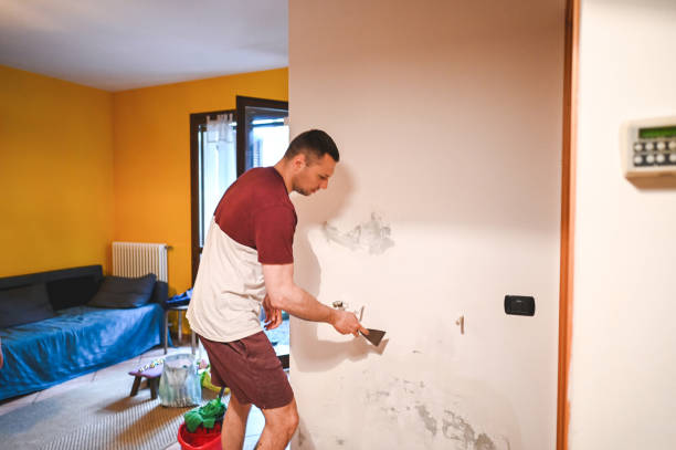 Best Commercial Mold Removal  in Mason, TX