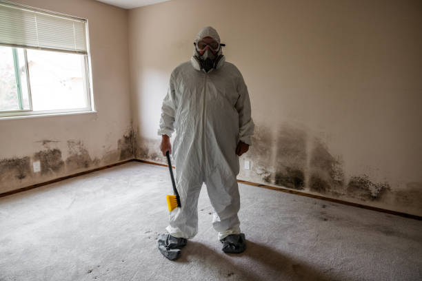 Best Mold Cleaning Services  in Mason, TX